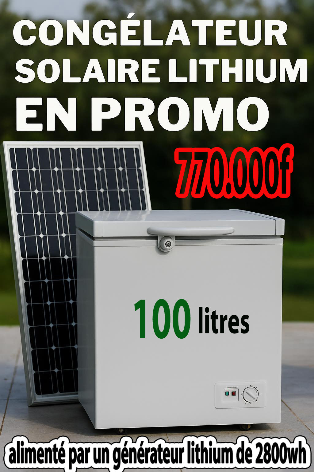 Congélateurs solaires 100L